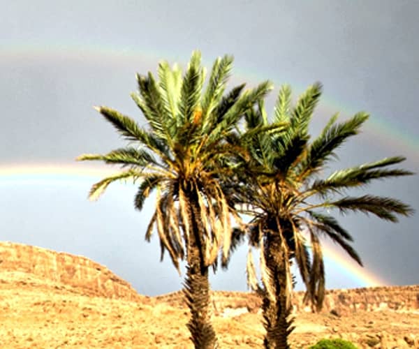 Arc en ciel dans le Sud marocain