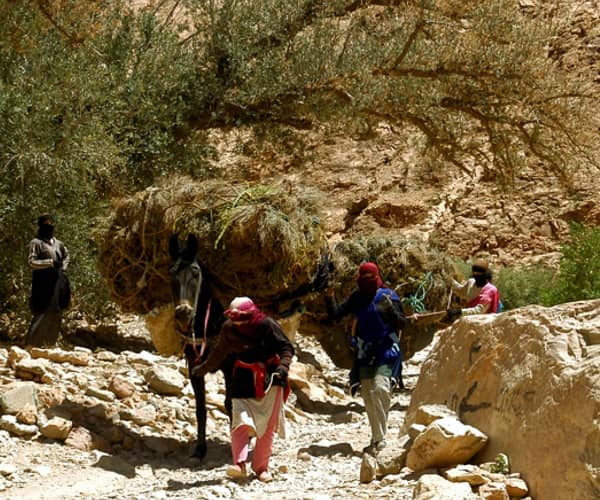 Nomades dans l'Anti-Atlas rencontrées durant le  Circuit 4x4 Agadir