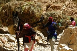 Circuit 4x4 Agadir 6 jours avec Amtoudi et la plage Blanche