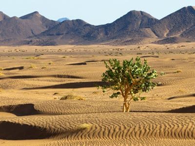 Dunes et djebels pres d'Ouzina Rimal durant le circuit 4x4 Marrakech