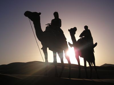 Randonnee chameliere au coucher de soleil dans les dunes de Merzouga