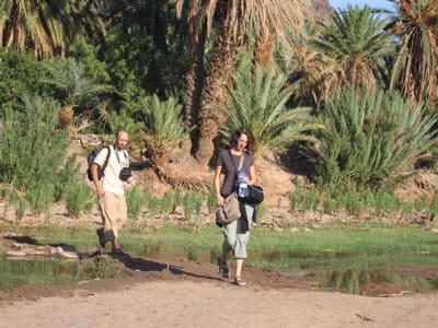 Circuit 4x4 Ouarzazate, oasis de Finnt