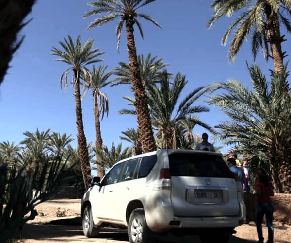 Piste dans la palmeraie du Draa en 4x4