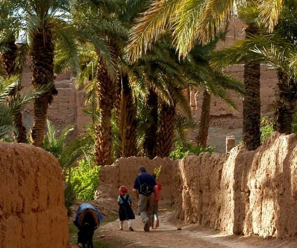 Circuit 4x4 Ouarzazate, promenade dans la palmeraie du Draa