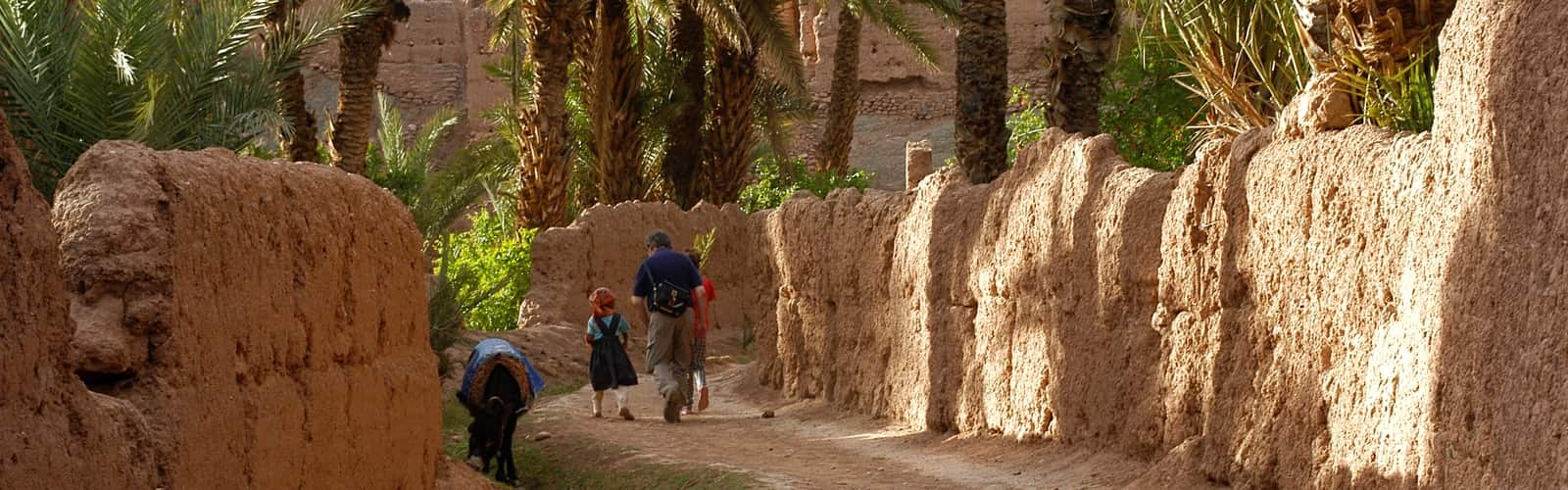 Circuit 4x4 Ouarzazate, promenade dans la palmeraie du Draa
