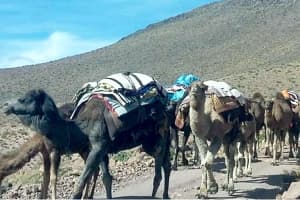 Circuit 4x4 Ouarzazate 5 jours