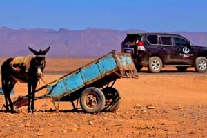 Circuit 4x4 Marrakech