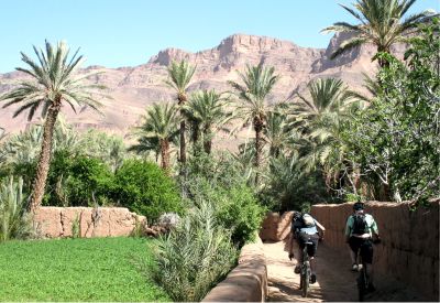 VTT dans palmeraie du Drâa