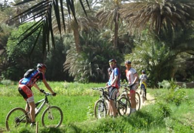 VTT dans la palmeraie de tinerhir