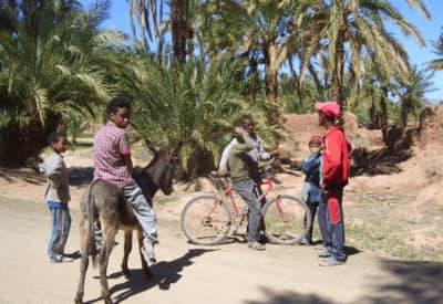 Mulet et VTT dans la vallee du Draa