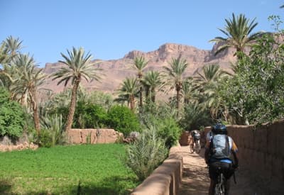 VTT dans une palmeraie de la vallee du Draa